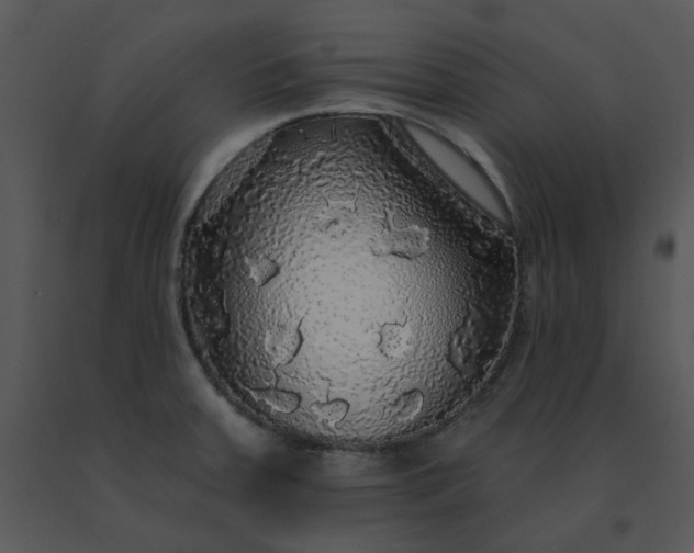 X0000091511379200708311218