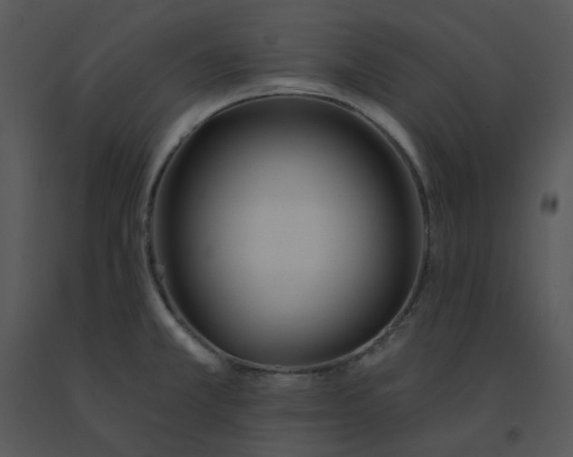 X0000091511381200708311218