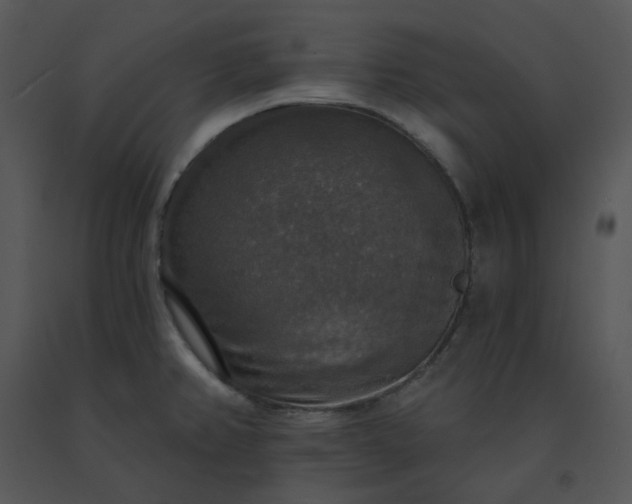 X0000091511382200708311218