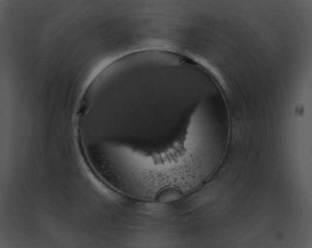 X0000091511383200708311218