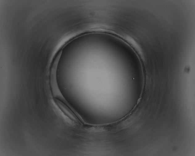 X0000091511384200708311218