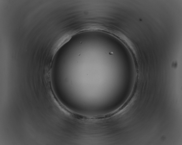 X0000091511385200708311218