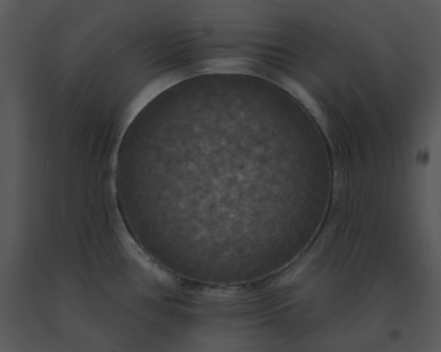 X0000091511386200708311218