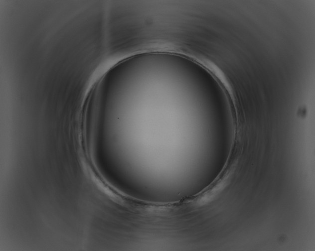 X0000091511389200708311218