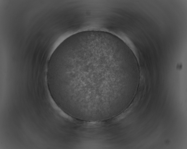 X0000091511390200708311218