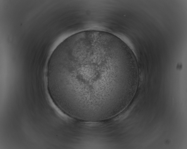 X0000091511391200708311218