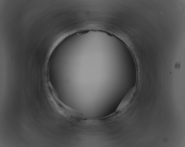 X0000091511392200708311218