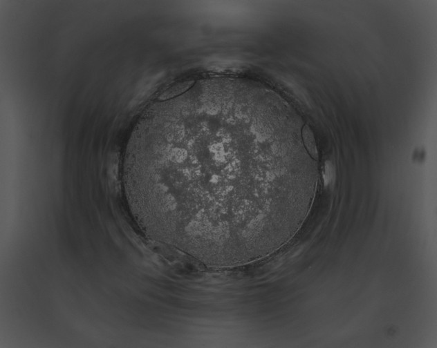 X0000091511396200708311217