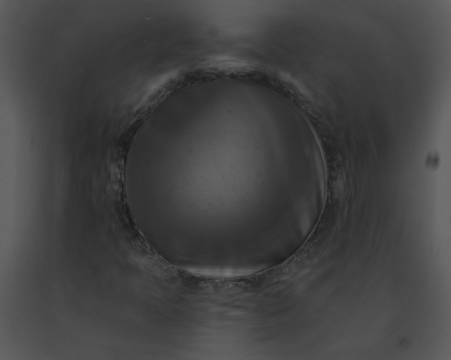 X0000091511397200708311217