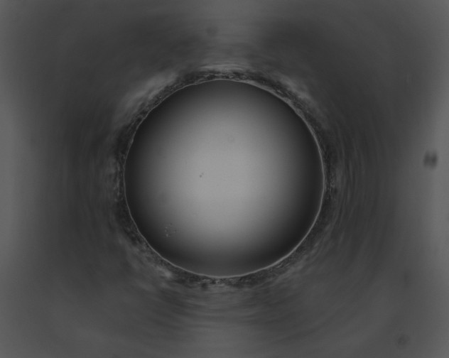 X0000091511398200708311217