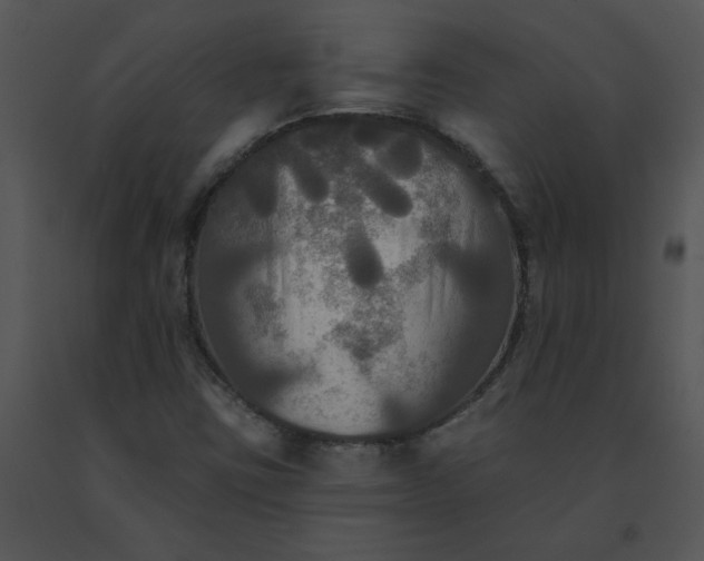 X0000091511403200708311217