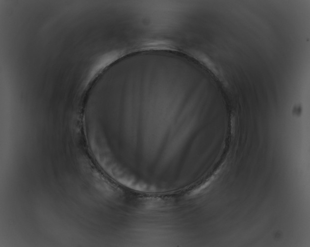 X0000091511405200708311217