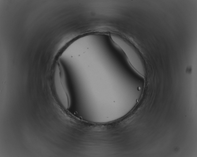 X0000091511410200708311217