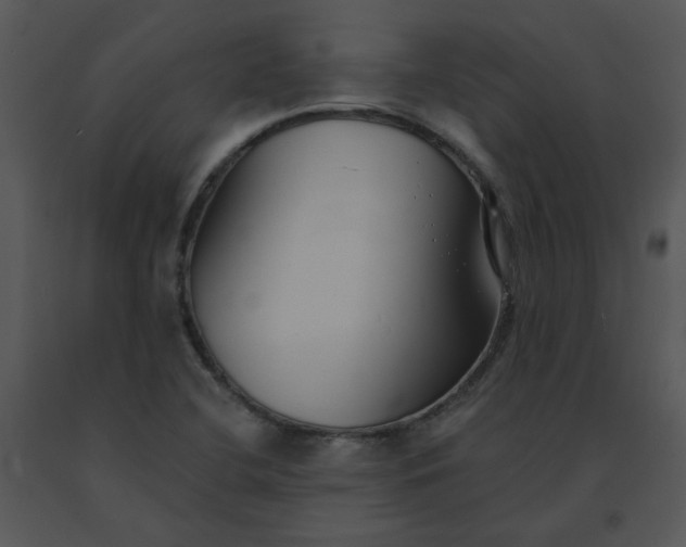 X0000091511412200708311217