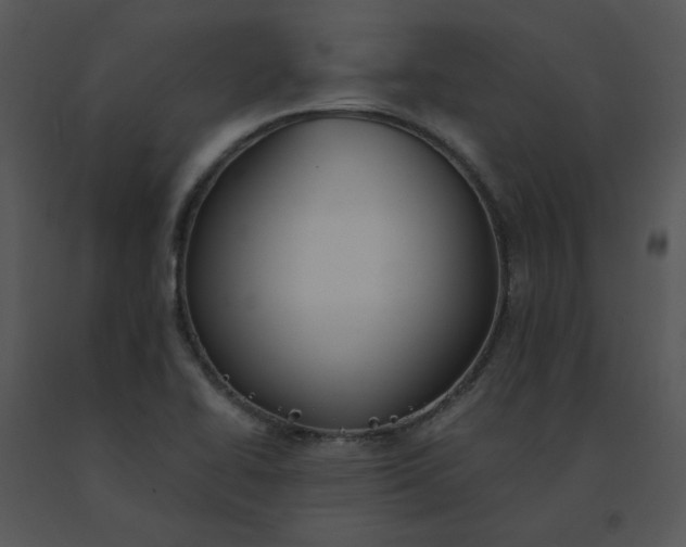 X0000091511414200708311217