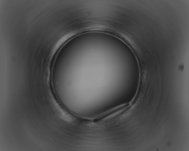 X0000091511418200708311218