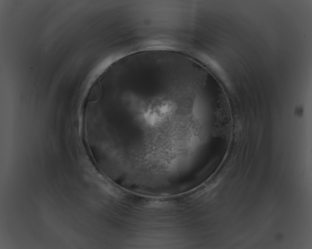 X0000091511419200708311218