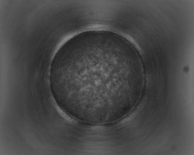 X0000091511421200708311218