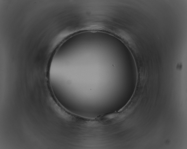 X0000091511422200708311218