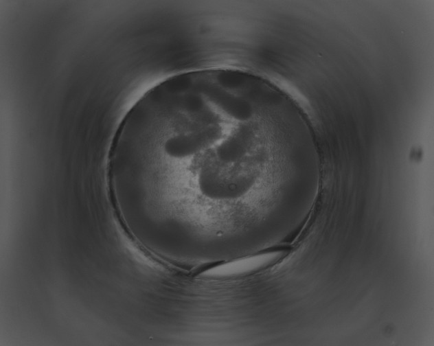 X0000091511423200708311218