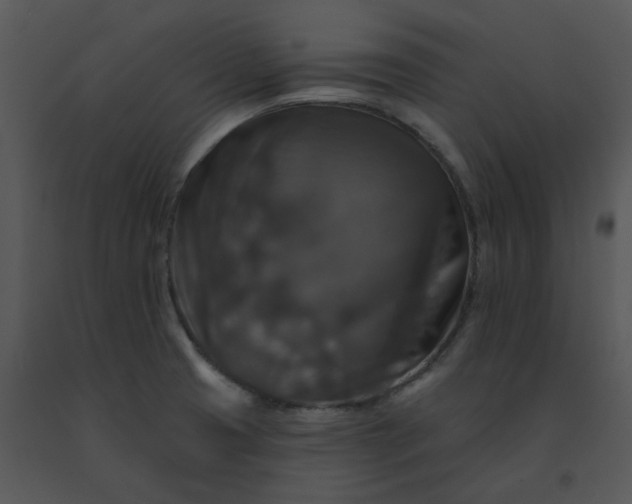 X0000091511425200708311218