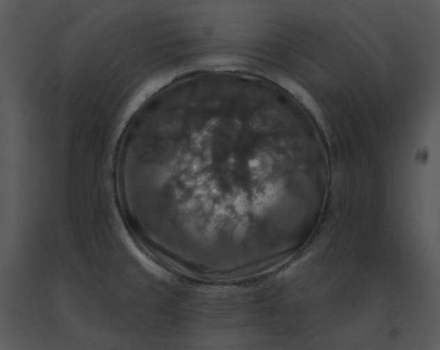 X0000091511429200708311218