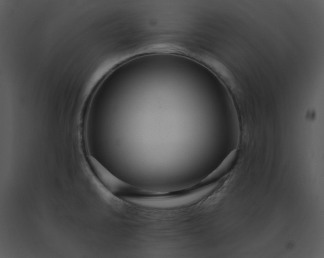 X0000091511430200708311218