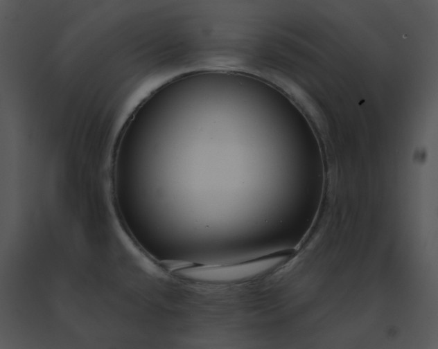 X0000091511432200708311218