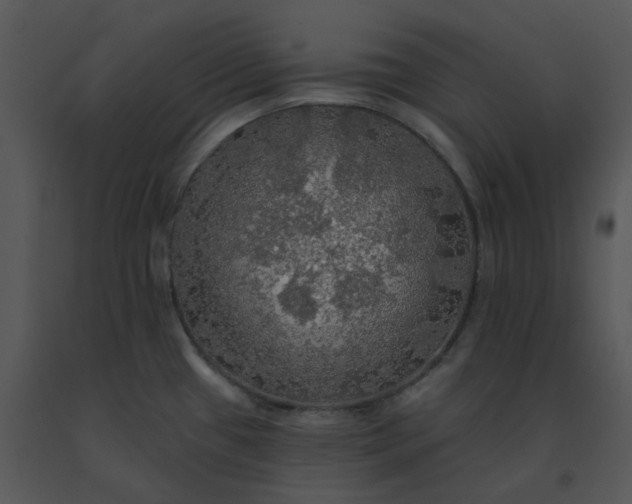 X0000091511433200708311218