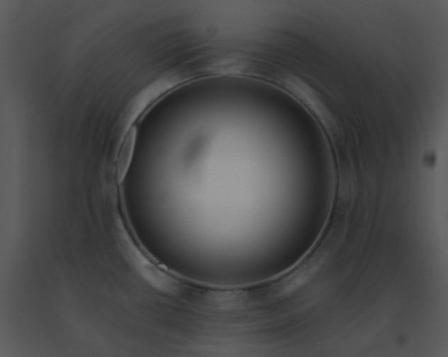 X0000091511434200708311218