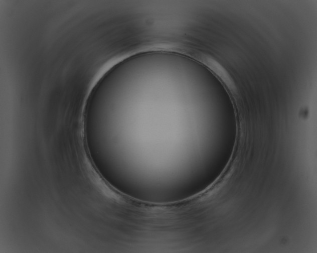 X0000091511436200708311218