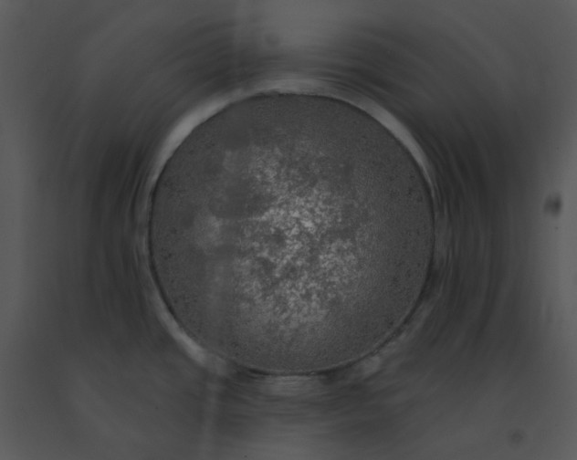 X0000091511437200708311218