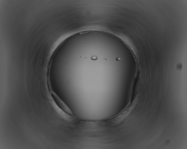 X0000091511438200708311218