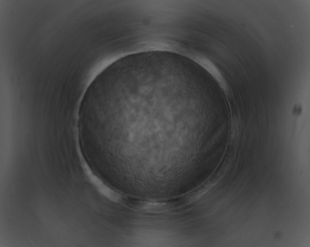 X0000091511439200708311218