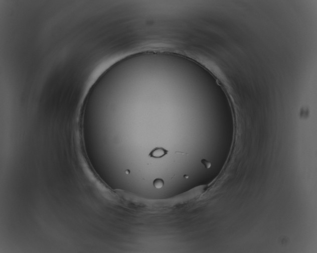 X0000091511440200708311218