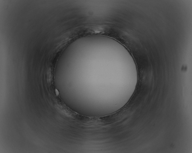 X0000091511442200708311217