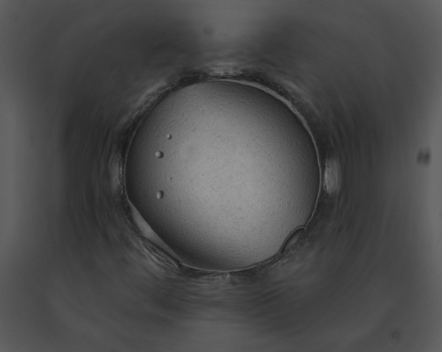 X0000091511444200708311217