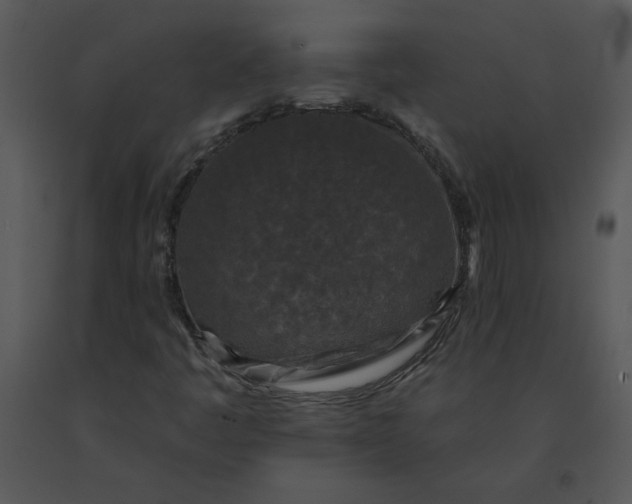 X0000091511445200708311217