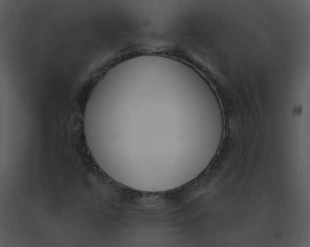 X0000091511447200708311217