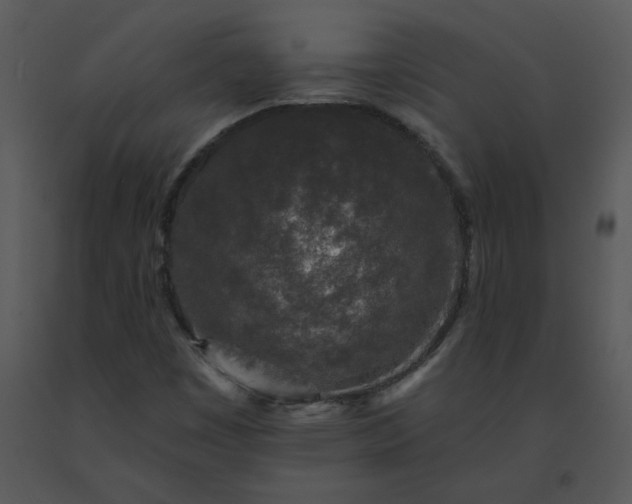 X0000091511449200708311217