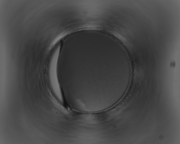 X0000091511450200708311217