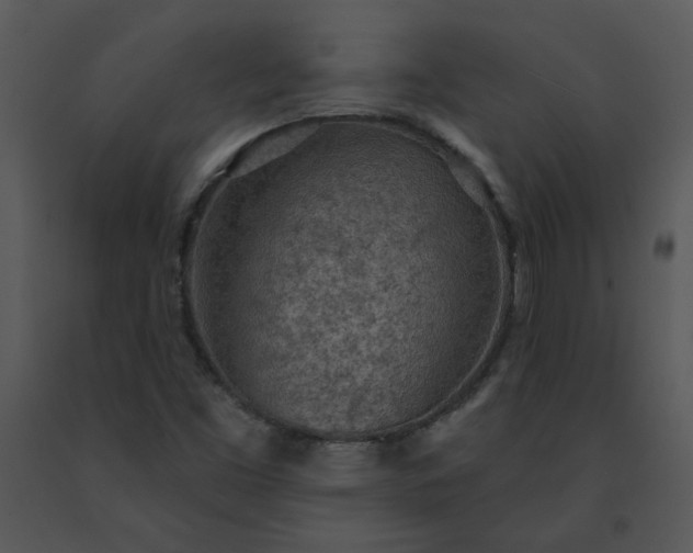 X0000091511453200708311217