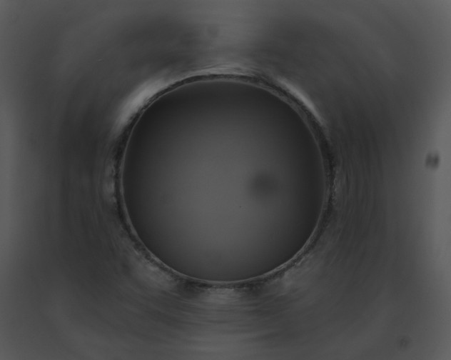 X0000091511455200708311217