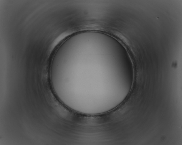 X0000091511458200708311217