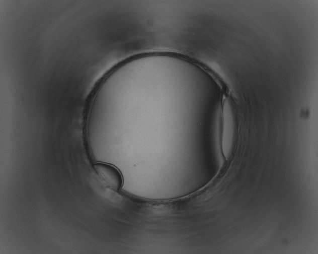 X0000091511460200708311217