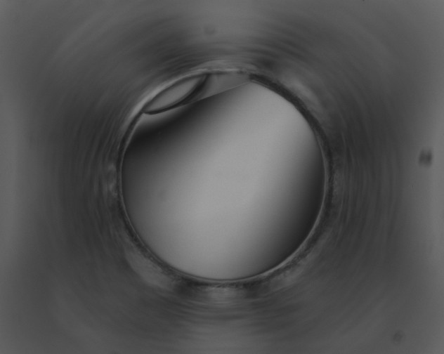 X0000091511465200708311217