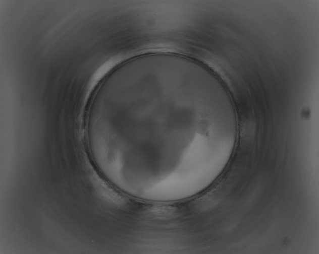 X0000091511466200708311217