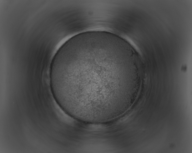 X0000091511468200708311216