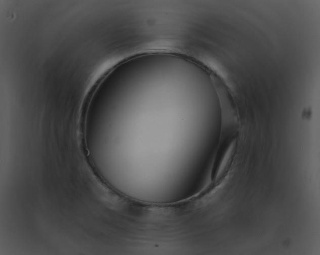 X0000091511469200708311216