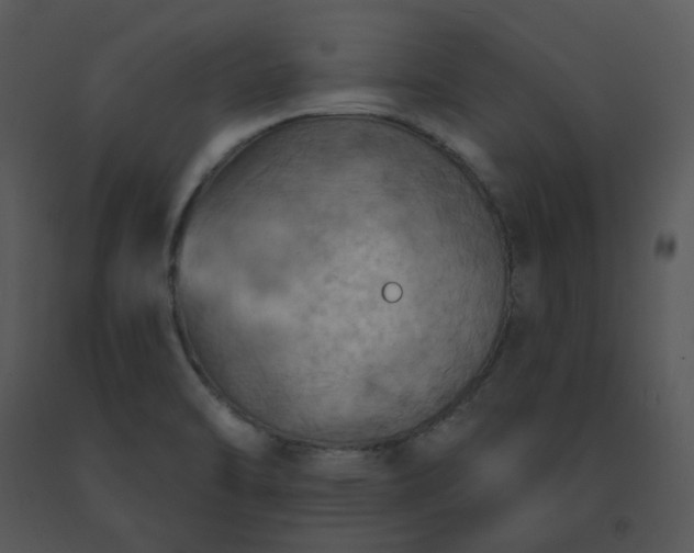 X0000091511470200708311216